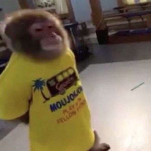 Meet your Posher, Aaron